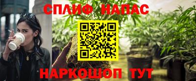 сатива Новокубанск