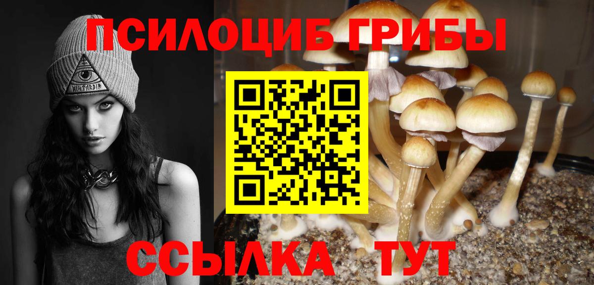 Псилоцибиновые грибы MAGIC MUSHROOMS Советск