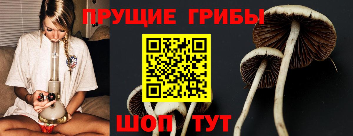 Советск  Галлюциногенные грибы GOLDEN TEACHER  Вход с VPN 