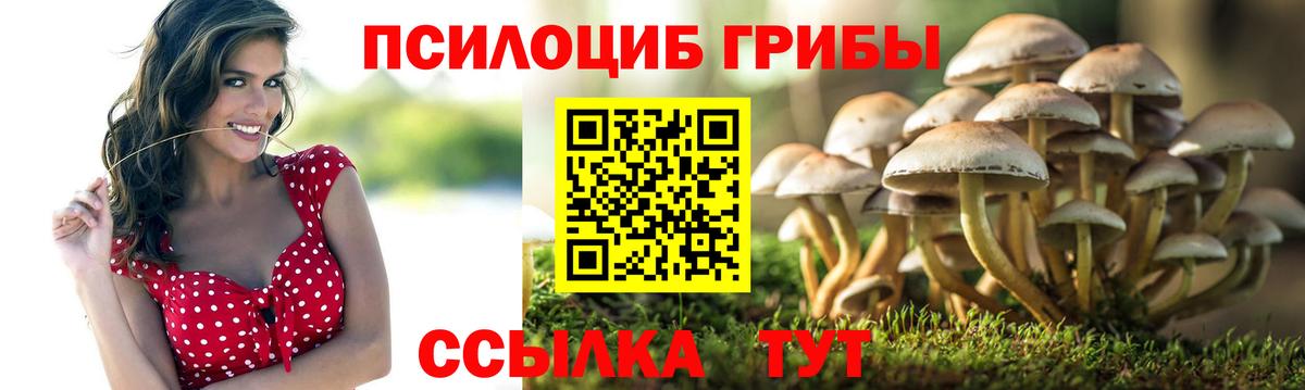 БУТИРАТ Советск