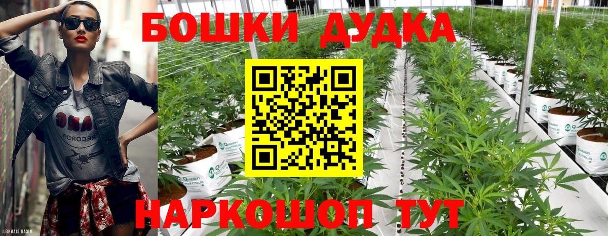 МАРИХУАНА планчик  Вход с VPN  Каннабис Ganja  Советск  МАРИХУАНА White Widow 